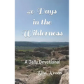 40 Days in the Wilderness