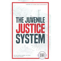 Juvenile Justice System