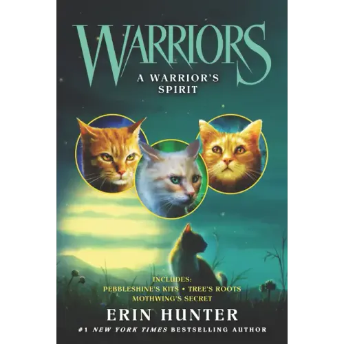 A Warrior's Spirit