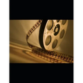 Screenplays: A Collection