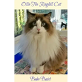 Ollie The Ragdoll Cat: A Book for Cat Lovers of All Ages