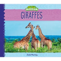Giraffes