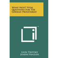 What Next? Vital Questions for the German Proletariat