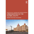 Urbanization in the Global South: Perspectives and Challenges