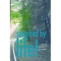 Surprised By Life