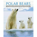 Polar Bears: A Complete Guide to Their Biology and Behavior
