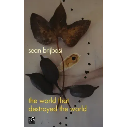 The world that destroyed the world: a poem