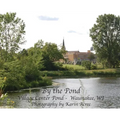 By the Pond