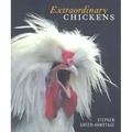 Extraordinary Chickens