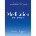 Meditation Now or Never