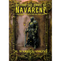 Beyond the Spire of Navarene
