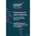 Feminisms in Latin America