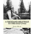 A Thousand-Mile Walk To The Gulf (1916). By: John Muir, EDITED By: William Frederic Bade: Illustrated