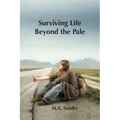 Surviving Life beyond the Pale: I was set up! A journey from innocence through abuse to strength.