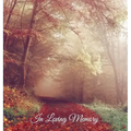 "In Loving Memory" Funeral Guest Book, Memorial Guest Book, Condolence Book, Remembrance Book for Funerals or Wake, Memorial Service Guest Book: HARDC