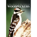 Woodpeckers - Curious Kids Press: Kids book about animals and wildlife, Children's books 4-6