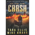 After the Crash: After the Crash Book 1