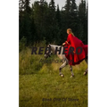 Red Hero: Story of a Girl from a Hidden Hero to a Teenage Queen
