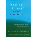 Healing Through the Dark Emotions: The Wisdom of Grief, Fear, and Despair