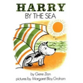 Harry by the Sea