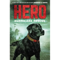 Hero: Hurricane Rescue