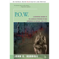 P.O.W.: A Definitive History of the American Prisoner-Of-War Experience in Vietnam, 1964-1973