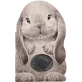 Furry Bunny
