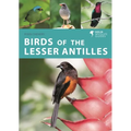 Birds of the Lesser Antilles