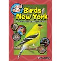 The Kids' Guide to Birds of New York: Fun Facts, Activities, and 85 Cool Birds
