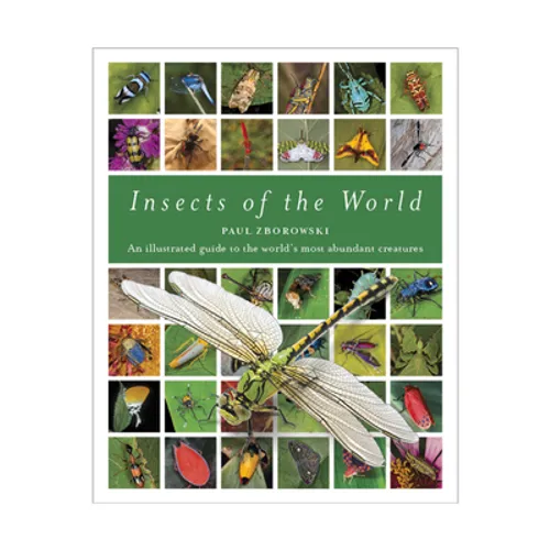Insects of the World: An Illustrated Guide to the World's Most Abundant Creatures