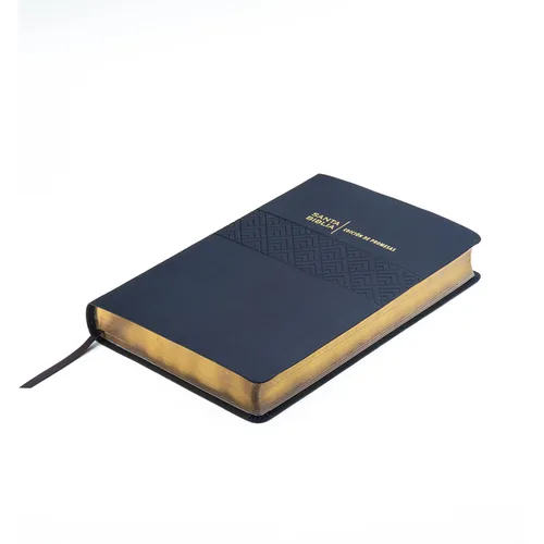 Biblia de Promesas Reina Valera 1960 / Letra Gigante - 13 Puntos / Piel Especial / Negra // Spanish Promise Bible Rvr60 / Giant Print / Leathersoft /