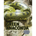 Green Anaconda