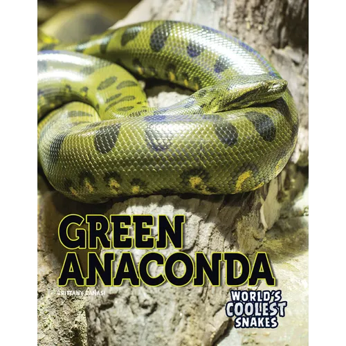 Green Anaconda