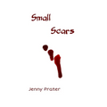 Small Scars