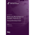 Molecular Mechanisms of Synaptic Plasticity 2.0: Dynamic Changes in Neurons Functions, Physiological and Pathological Process