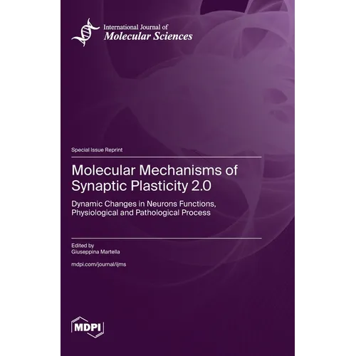 Molecular Mechanisms of Synaptic Plasticity 2.0: Dynamic Changes in Neurons Functions, Physiological and Pathological Process