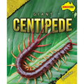 Giant Centipede