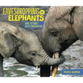 Eavesdropping on Elephants: How Listening Helps Conservation
