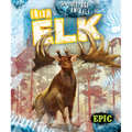 Irish Elk