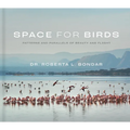 Space for Birds: Patterns and Parallels of Beauty and Flight