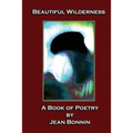 Beautiful Wilderness: A Poetry Book