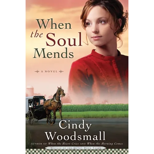 When the Soul Mends: Book 3 in the Sisters of the Quilt Amish Series