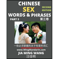 Chinese Sex Words & Phrases (Part 3): Most Commonly Used Easy Mandarin Chinese Intimate and Romantic Words, Phrases & Idioms, Self-Learning Guide to H