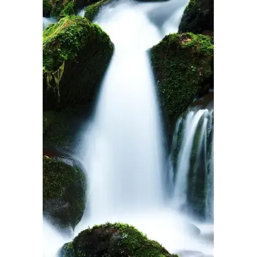 A Pretty Creek: Creeks, Streams and Waterways in General Are Known as Surface Hydrology and Are a Core Element of Environmental Geography.