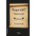 Luque 687. Visitas Al Ayer