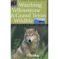 Watching Yellowstone & Grand Teton Wildlife