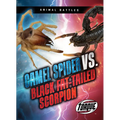 Camel Spider vs. Black Fat-Tailed Scorpion