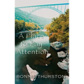 A Place to Pay Attention
