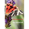 Small-Scale Observations