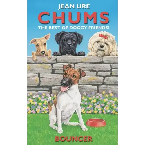 Bouncer